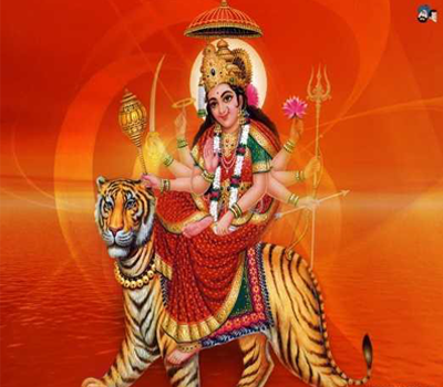 kali Home