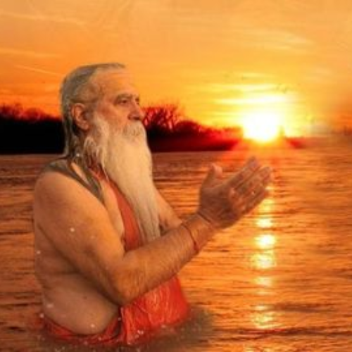anima Ancient Maharishisand Contribution
